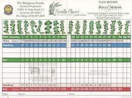 Image result for South Shore Cc