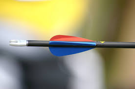 Image result for Bowmen of Lytchett