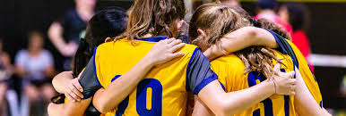 Image result for Astley Netball Club