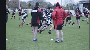 Image result for Ipswich Ym Rugby Union Football Club