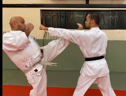 Image result for Abbey Fit Karate Club & Seiki Juku
