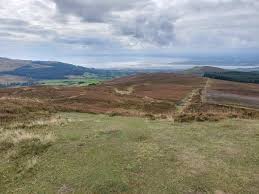 Image result for Louth Velo