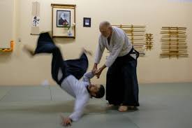 Image result for Coldharbour Aikido Club