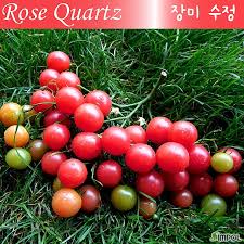 Afbeeldingsresultaat voor rose quartz tomato