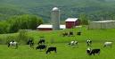 Discover Vermont | Farms - The Official Vermont Tourism Site ...
