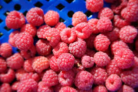 Attēlu rezultāti vaicājumam “Rubus idaeus fruit”