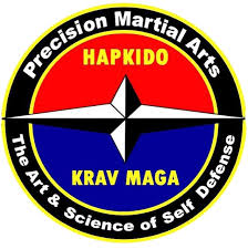 Image result for Precision Martial Arts