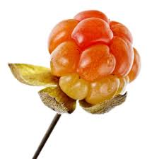 Attēlu rezultāti vaicājumam “Rubus chamaemorus fruit”