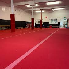 Image result for Crewe & Nantwich Gymnastics Club