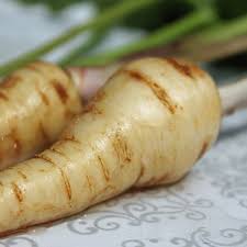 Image result for Pastinake