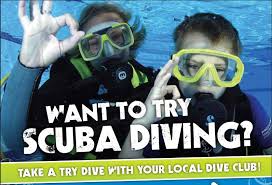 Image result for Dive Solutions, London