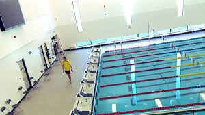 Image result for Saxon Crown (Lewisham) Swimming Club