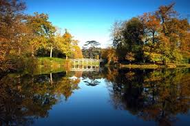 Image result for Cobham