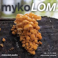 Attēlu rezultāti vaicājumam “Parmelia submontana”