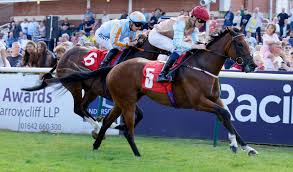 Image result for Redcar Race Walking Club