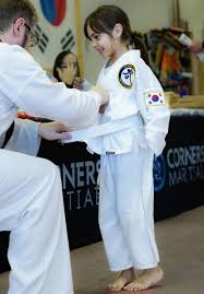 Image result for Intelligent Martial Arts