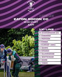 Image result for Saffron Walden Cricket Club