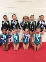 Image result for Wickers Gymnastics Club