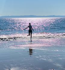 Image result for Silver Cross Dazzle Marcia Cross