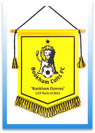 Image result for Bookham Football Club