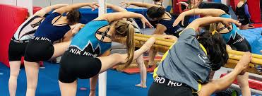 Image result for stonehaven gymnastics club