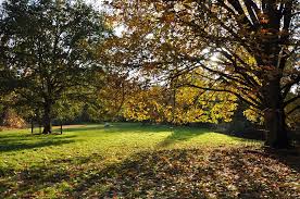 Image result for Arboretum Trompenburg