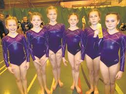 Image result for Zodiac Gymnastics Club