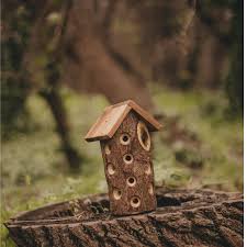Image result for ladybug house