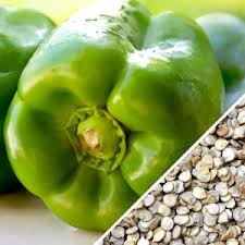 Afbeeldingsresultaat voor yolo wonder sweet pepper