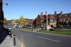 Image result for Surrey Heath Slammers