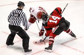 Image result for Streatham Night Wolves Ice Hockey Team