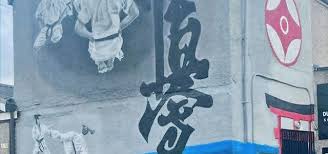 Image result for Chikara Dojo Of Kyokushin Karate