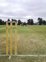 Image result for Kingstonian Cricket Club