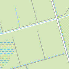 Attēlu rezultāti vaicājumam “Pinthaeus sanguinipes imago”