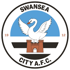 Image result for Swansea Ladies Hockey Club