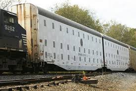 Image result for fema train