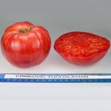 Afbeeldingsresultaat voor crnkovic yugoslavian tomato
