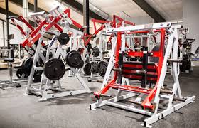 Image result for Flic Flac Gym Club, Eccleston