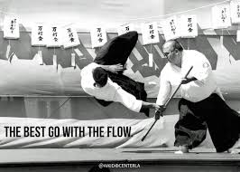 Image result for AikidoFlow