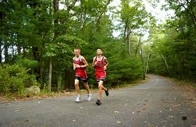 Image result for Andover Road Runners