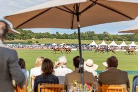 Image result for Cowdray Park Polo Club
