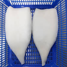 Image result for Dosidicus gigas