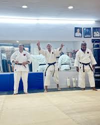 Image result for Ji Shin Do Karate