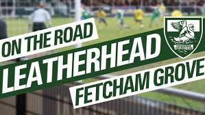 Image result for Leatherhead Football Club