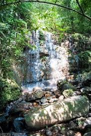 Image result for синхараджа