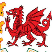 Image result for Cimla Cricket Club