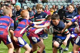 Image result for Silhillians Rugby Union Football Club