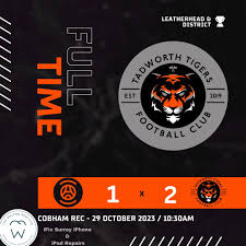 Image result for Tadworth Athletic Club