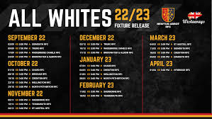 Image result for Bridgwater & Albion RFC