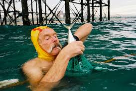 Image result for Brighton Swimming Club